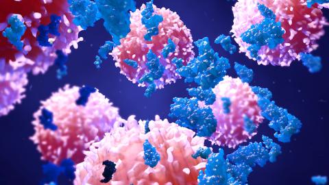 3D illustration of proteins with lymphocytes