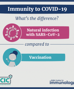 Immunity to COVID-19, what's the difference?